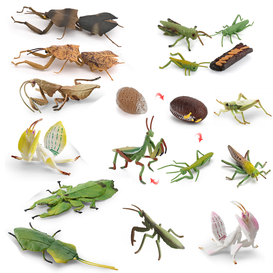 Kids Toys Under 1 Year - Realistic Orchid Mantis Dead Leaf Mantis
