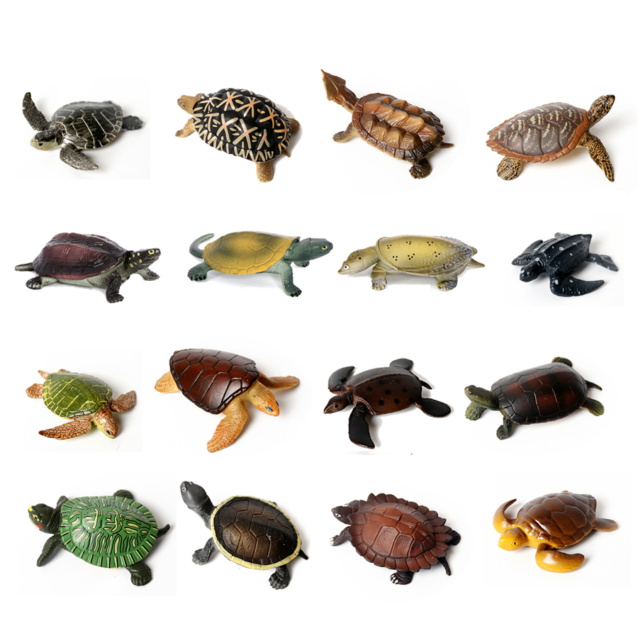 Kids Toys Under 1 Year - Thực Tế Bức Tiểu Họa Sinh