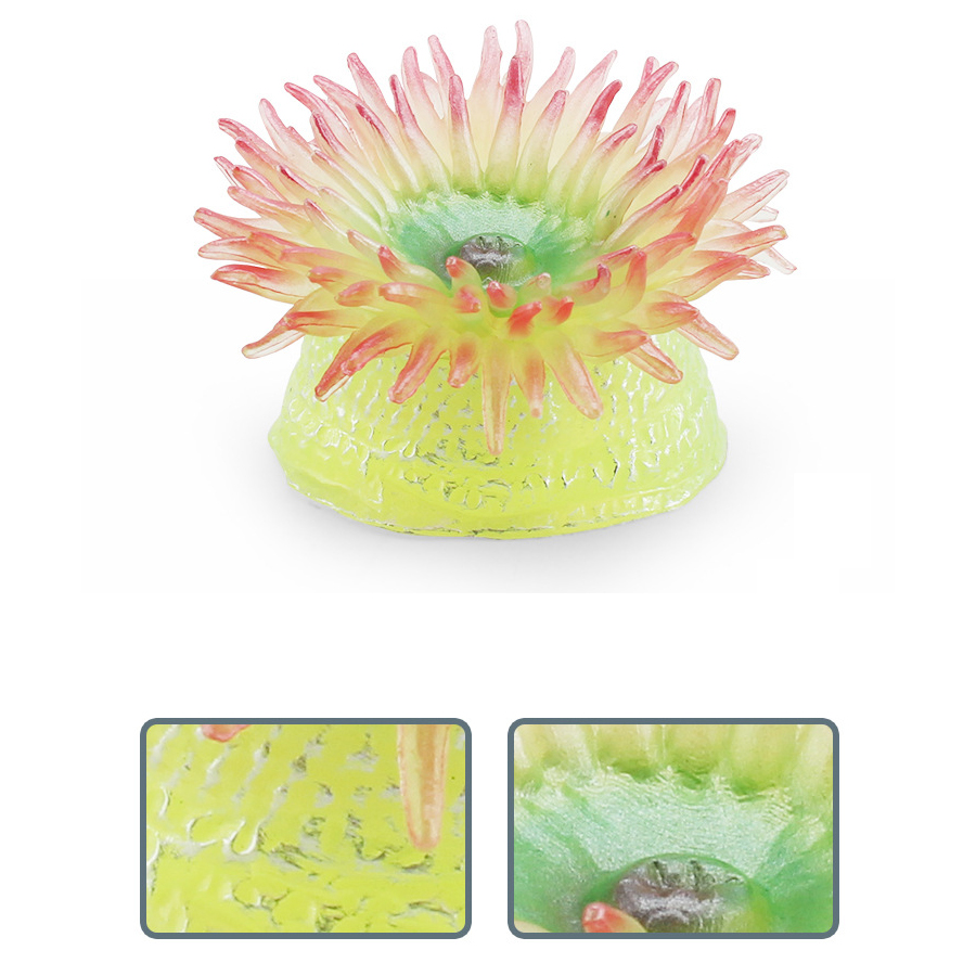 Realistic Coral Sea Anemones S - đánh giá và giá Kids Toys Under 1 Year