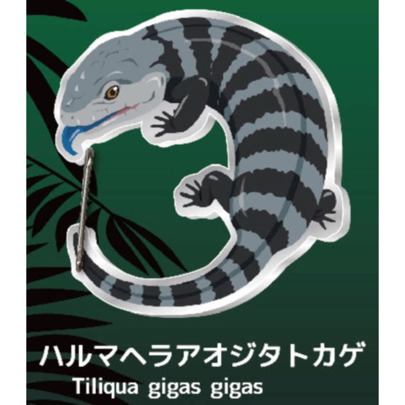 Lizard Gecko Carabiner Capsule - đánh giá và giá Kids Toys Under 1 Year
