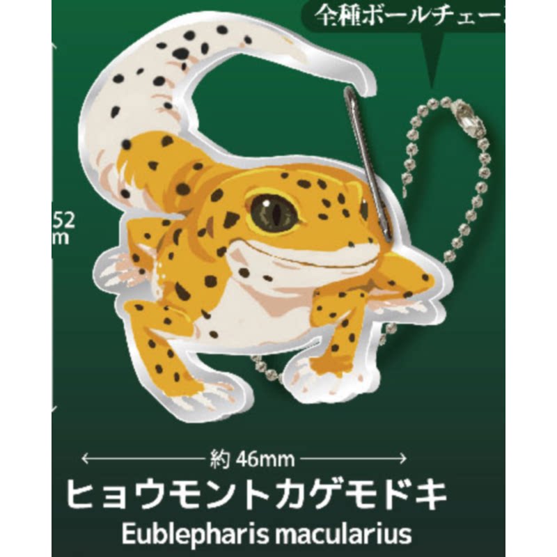 Lizard Gecko Carabiner Capsule - đánh giá và giá Kids Toys Under 1 Year