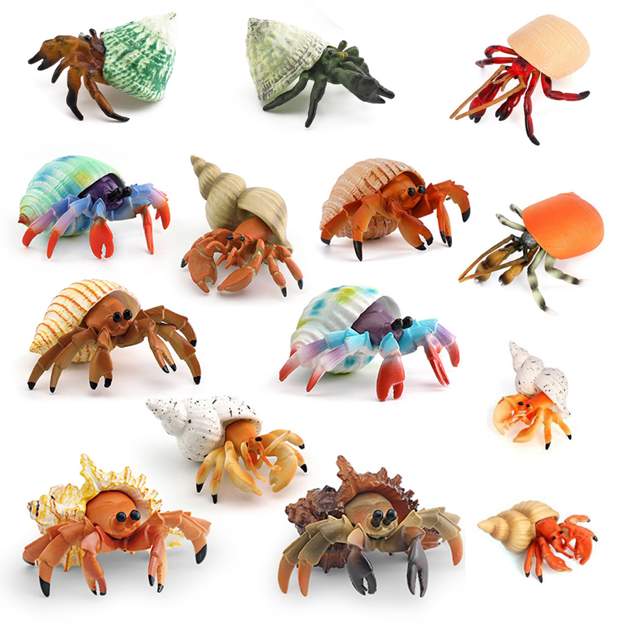 Realistic Hermit Crab Figurine - đánh giá và giá Kids Toys Under 1 Year