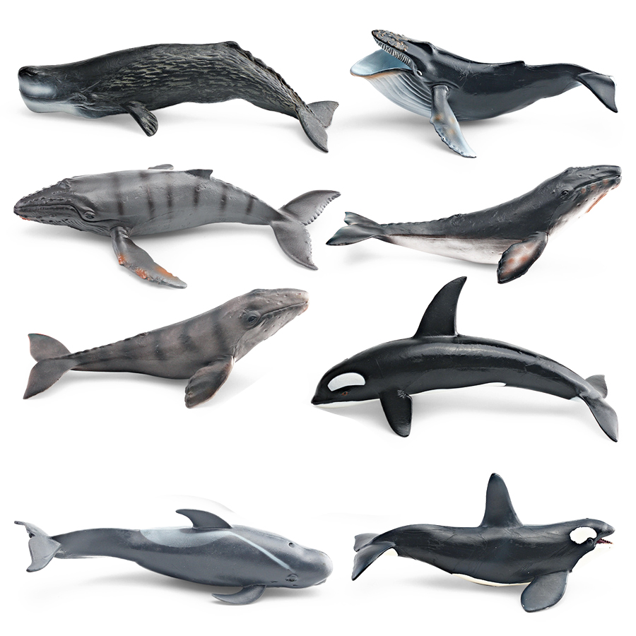 Realistic Humpback Whale Sperm - đánh giá và giá Kids Toys Under 1 Year