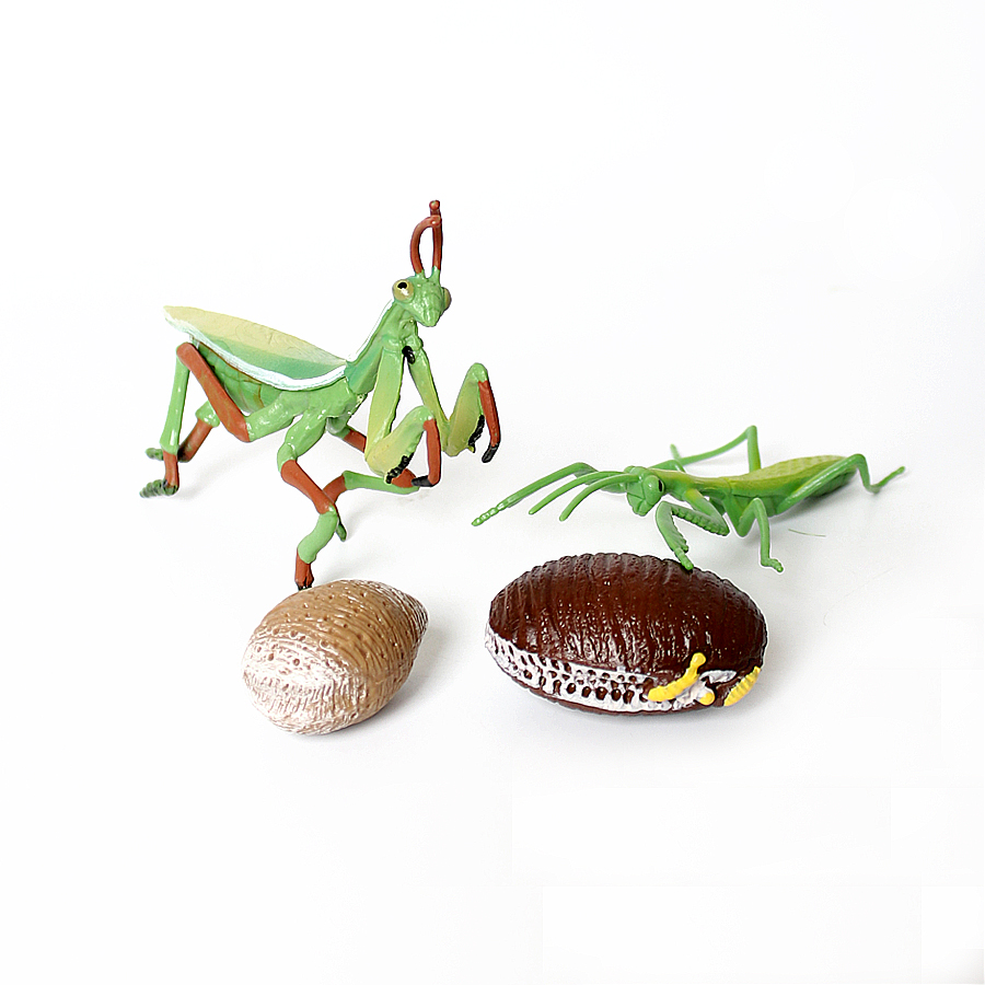 Realistic Orchid Mantis Dead L - đánh giá và giá Kids Toys Under 1 Year